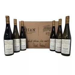 VICAN BOX Karel Roden s podpisem 5×0,75l GB L.E.