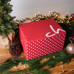 Chocolissimo - Velký vánoční mystery box 625 g