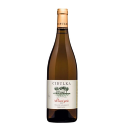 Cibulka Pinot Gris Výběr z hroznů - barrique 0,75l 13%