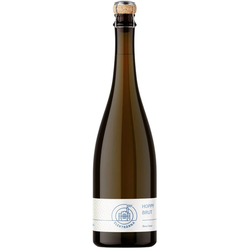 Hoppy Brut Beer Brut 0,75l 4,1%