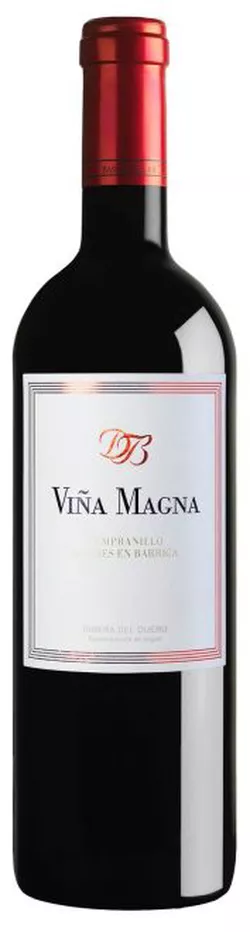 Viña Magna 6 meses 2019, Dominio Basconcillos,  Ribera del Duero